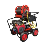 РГР PROteus F 250/33