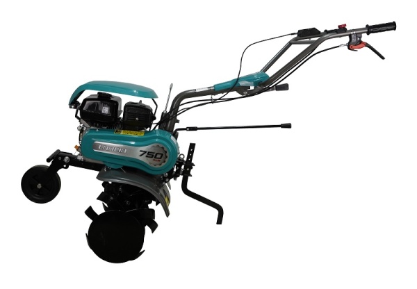 Loncin 1WG3.4-75FQ-D (LC750)